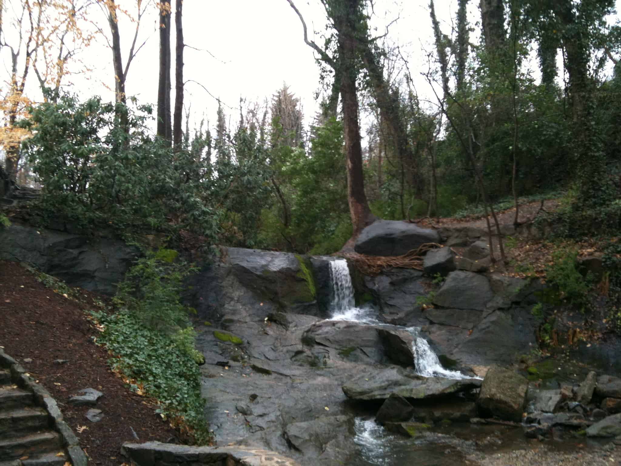 Landscape Design for a Greenville, SC, Public Park: Part One