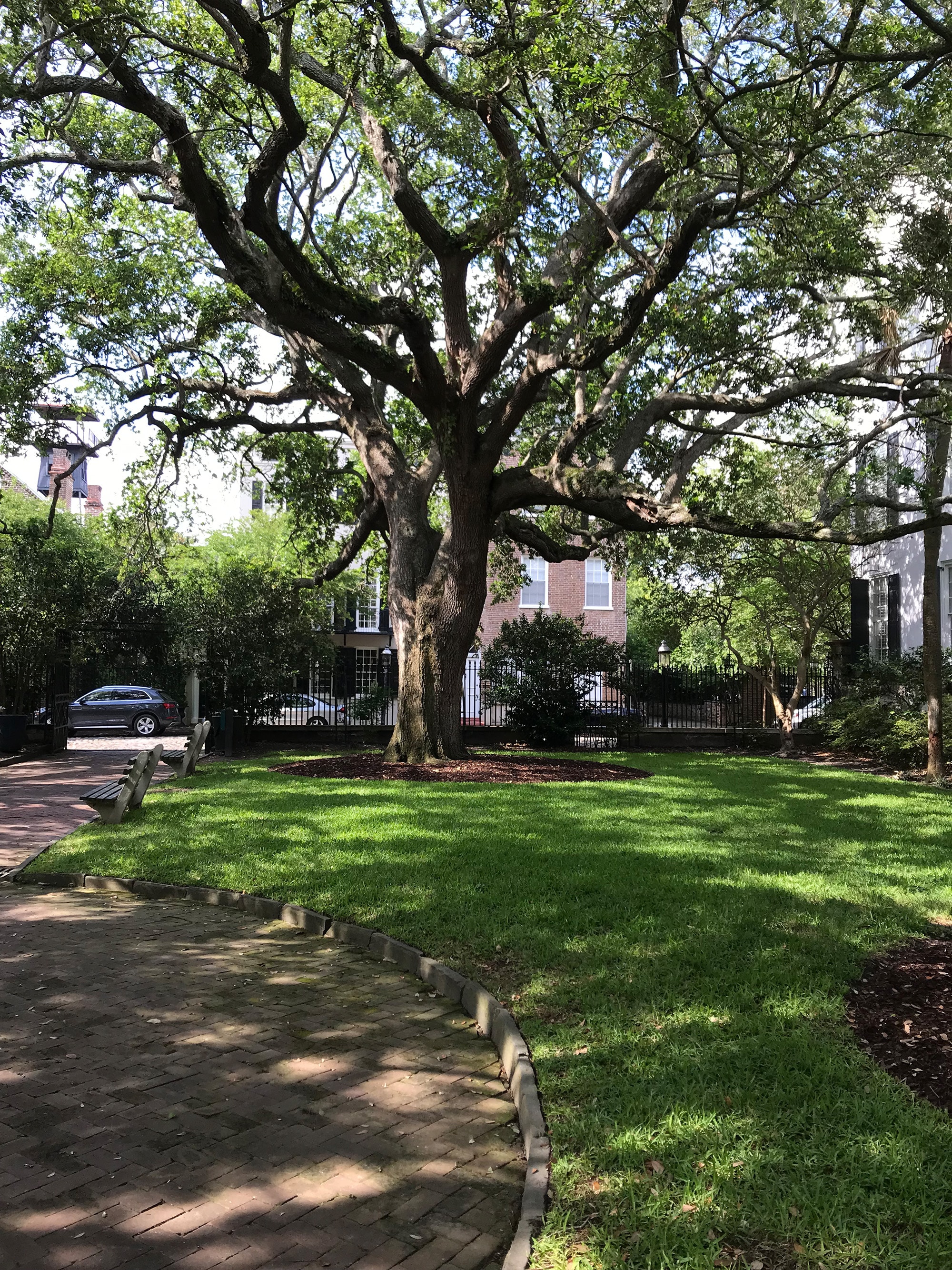 Charleston, South Carolina: A Gardener’s Dream City